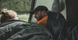 Намет двомісний Easy Camp Rondane 2 (120469) 931541 фото 10