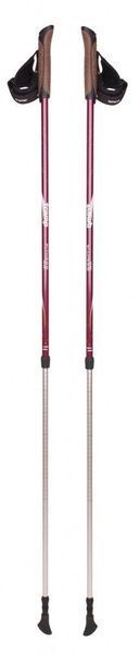Палки для скандинавской ходьбы Tramp Fitness TRR-011 фото