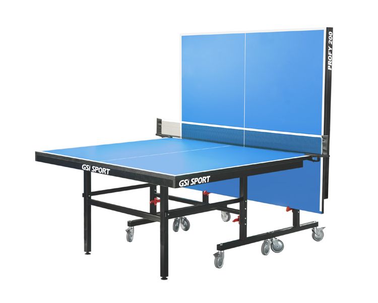 Теннисный стол профессиональный Profy 200 (синий) Pr-200 фото
