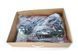 Роликовые коньки TEMPISH XT4 Lady/37 1000024/37 фото 4