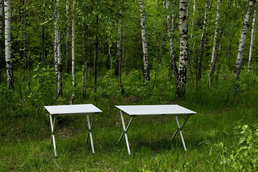 Складаний стіл з алюмінієвою стільницеюTramp Roll-120 (120x60x70 см) TRF-064 TRF-064 фото