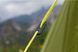 Намет Vango Soul 200 Treetops (TERSOUL T15151) 926353 фото 9