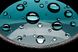Бінокль Hawke Frontier HD X 10x42 Green (38012) 929049 фото 4
