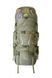 Туристичний рюкзак Tramp Ragnar 75+10 зелений TRP-044-green фото 1