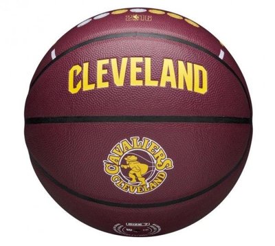 М'яч баскетбольний Wilson NBA TEAM CITY COLLECTOR WZ4003906XB7 фото