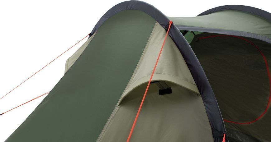 Намет двомісний Easy Camp Magnetar 200 Rustic Green (120414) 120414 фото