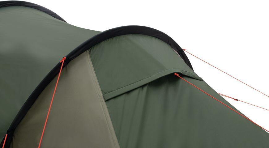 Намет двомісний Easy Camp Magnetar 200 Rustic Green (120414) 120414 фото
