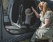 Намет шестимісний Easy Camp Skarvan 6 (120498) 931573 фото 10