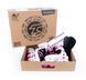 Роликовые коньки Tempish GOKID GIRL/29-32 100000004099/29-32 фото 2