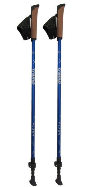 Палки для скандинавской ходьбы Tramp Flash TRR-010 фото