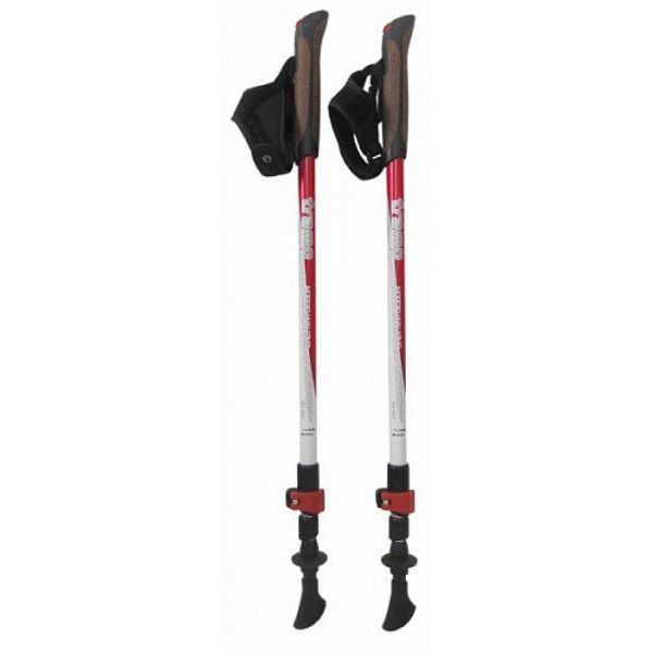 Палки для скандинавской ходьбы Tramp Compact TRR-004 фото