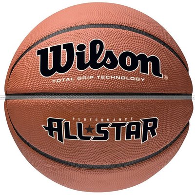 М'яч баскетбольний Wilson Performance All Star 19229 фото